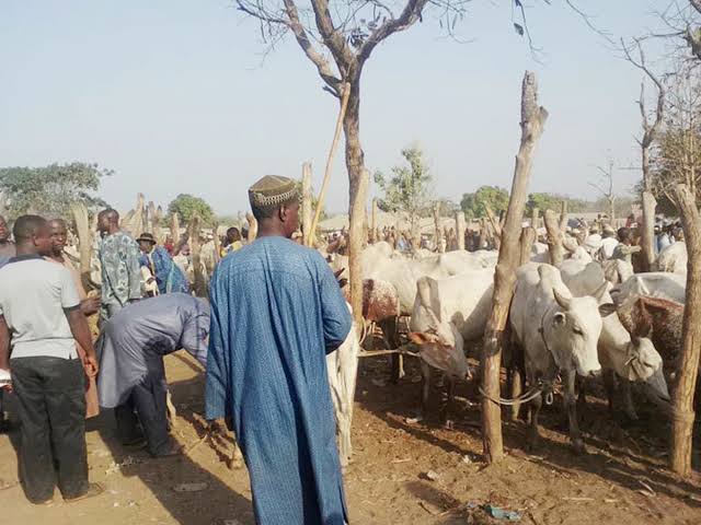 FG Issue Public Alerts Over Poisoned Animals At Kwara Cattle Market |  Afrika Eyes